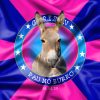 PAU NO BURRO 2 PAU NO BURRO 2