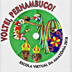 Conheça o enredo da Escola Virtual da Amazônia para o Carnaval 2018